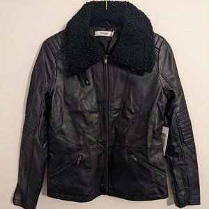 Vegan Leather Moto Jacket
